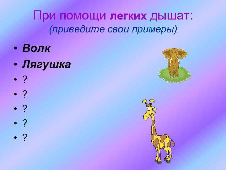 При помощи легких дышат: (приведите свои примеры) • Волк • Лягушка • • •