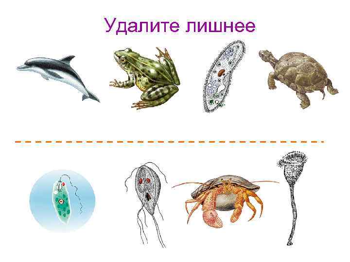 Удалите лишнее 