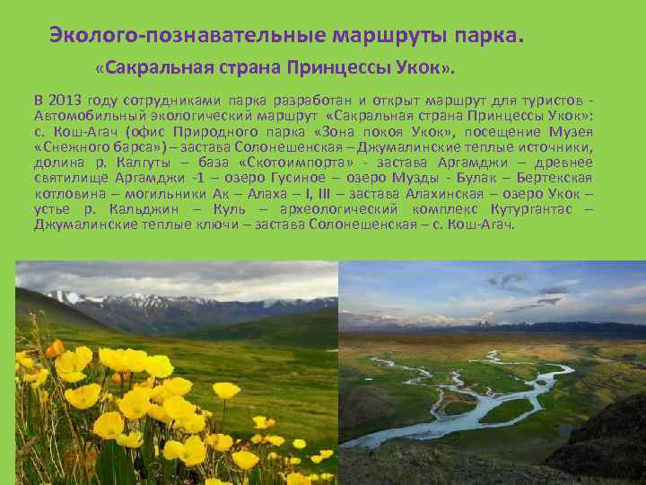 Эколого-познавательные маршруты парка. «Сакральная страна Принцессы Укок» . В 2013 году сотрудниками парка разработан