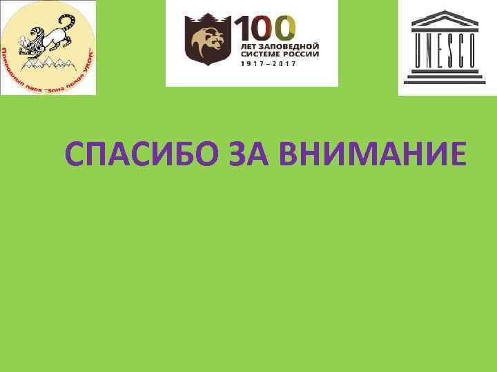 СПАСИБО ЗА ВНИМАНИЕ 