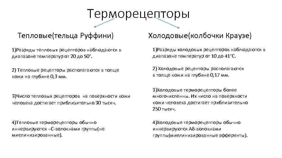 Терморецепторы Тепловые(тельца Руффини) Холодовые(колбочки Краузе) 1)Разряды тепловых рецепторов наблюдаются в диапазоне температур от 20
