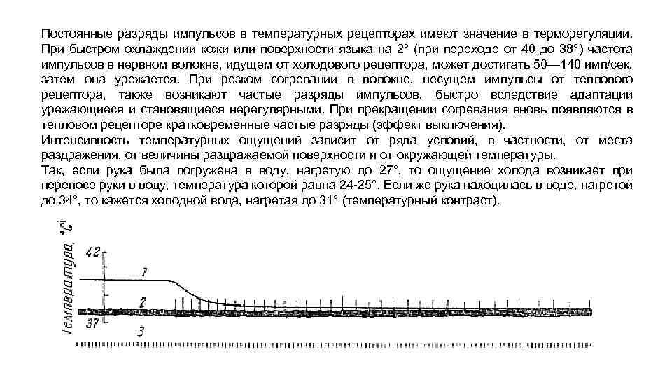 Постоянные разряды импульсов в температурных рецепторах имеют значение в терморегуляции. При быстром охлаждении кожи