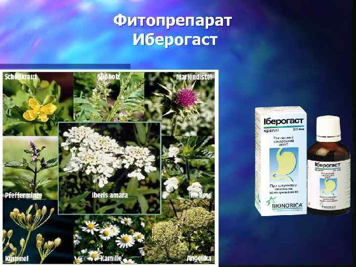 Фитопрепарат Иберогаст 