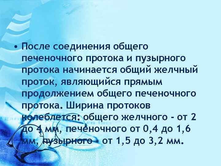  • После соединения общего печеночного протока и пузырного протока начинается общий желчный проток,