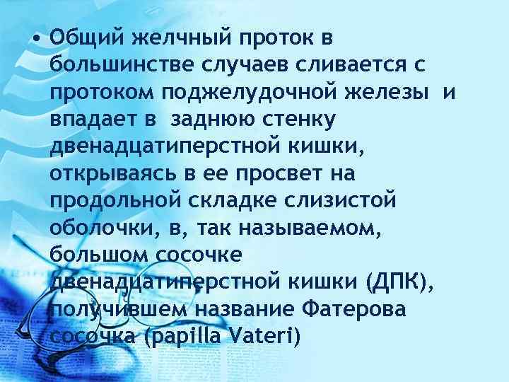  • Общий желчный проток в большинстве случаев сливается с протоком поджелудочной железы и