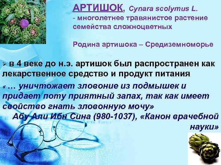 АРТИШОК, Cynara scolymus L. - многолетнее травянистое растение семейства сложноцветных Родина артишока – Средиземноморье