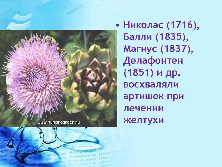  • Николас (1716), Балли (1835), Магнус (1837), Делафонтен (1851) и др. восхваляли артишок