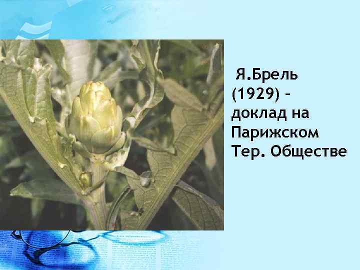  • Я. Брель (1929) – доклад на Парижском Тер. Обществе 