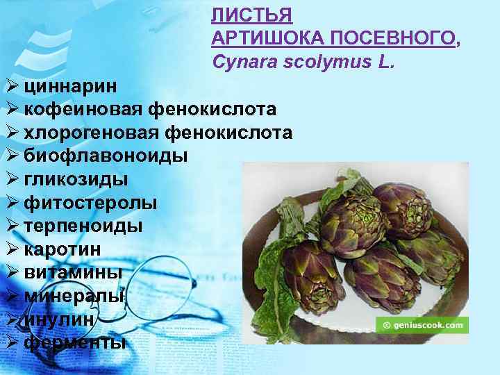 ЛИСТЬЯ АРТИШОКА ПОСЕВНОГО, Cynara scolymus L. Ø циннарин Ø кофеиновая фенокислота Ø хлорогеновая фенокислота
