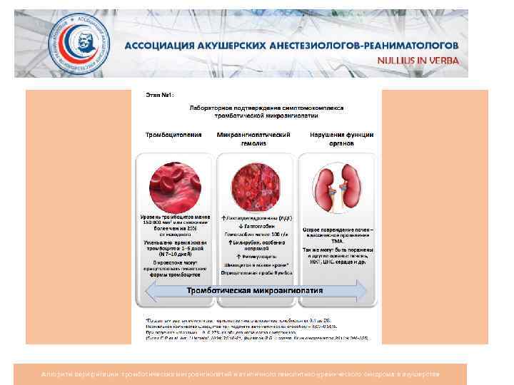 Алгоритм верификации тромботических микроангиопатий и атипичного гемолитико-уремического синдрома в акушерстве 