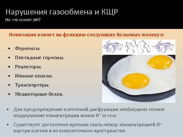 Нарушения газообмена и КЩР На что влияет p. H? Ионизация влияет на функцию следующих