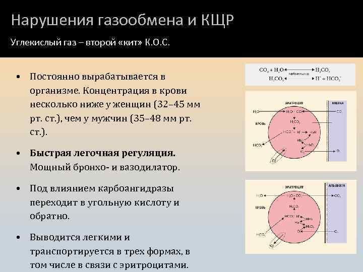 Нарушения газообмена и КЩР Углекислый газ – второй «кит» К. О. С. • Постоянно