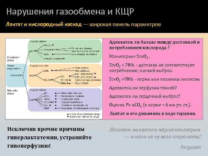 Нарушения газообмена и КЩР Лактат и кислородный каскад — широкая панель параметров Целевые значения: