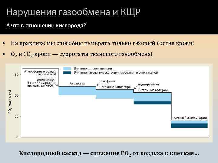 Нарушения газообмена и КЩР А что в отношении кислорода? • На практике мы способны