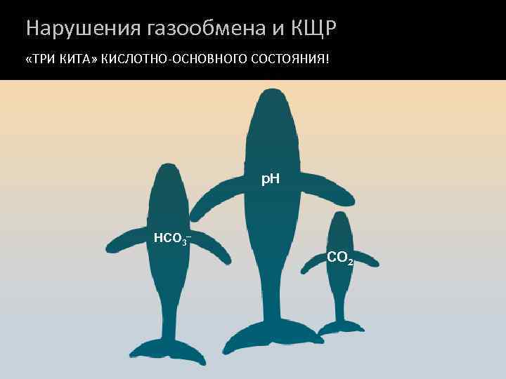 Нарушения газообмена и КЩР «ТРИ КИТА» КИСЛОТНО-ОСНОВНОГО СОСТОЯНИЯ! p. H HCO 3– CO 2