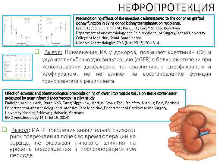 НЕФРОПРОТЕКЦИЯ Preconditioning effects of the anesthetic administered to the donor on grafted kidney function