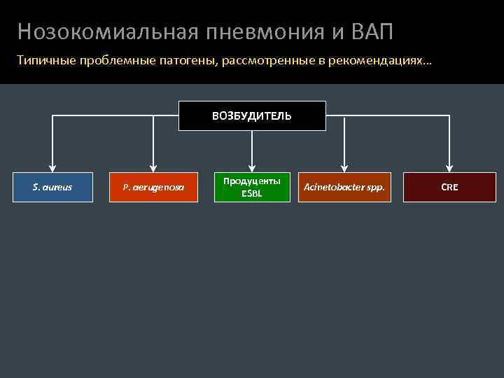 Нозокомиальная пневмония и ВАП Типичные проблемные патогены, рассмотренные в рекомендациях… ВОЗБУДИТЕЛЬ S. aureus P.