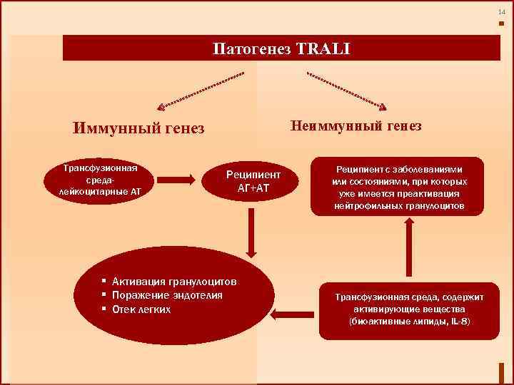 14 Патогенез TRALI Неиммунный генез Иммунный генез Трансфузионная средалейкоцитарные АТ Реципиент АГ+АТ § Активация