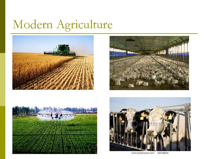 Modern Agriculture 