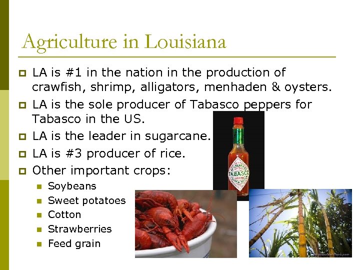Agriculture in Louisiana p p p LA is #1 in the nation in the