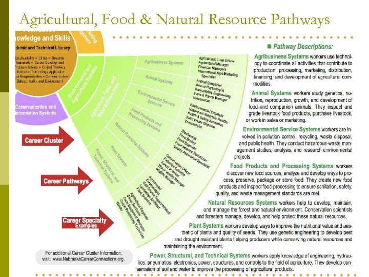 Agricultural, Food & Natural Resource Pathways 