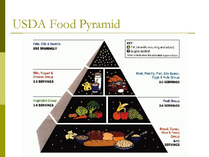USDA Food Pyramid 