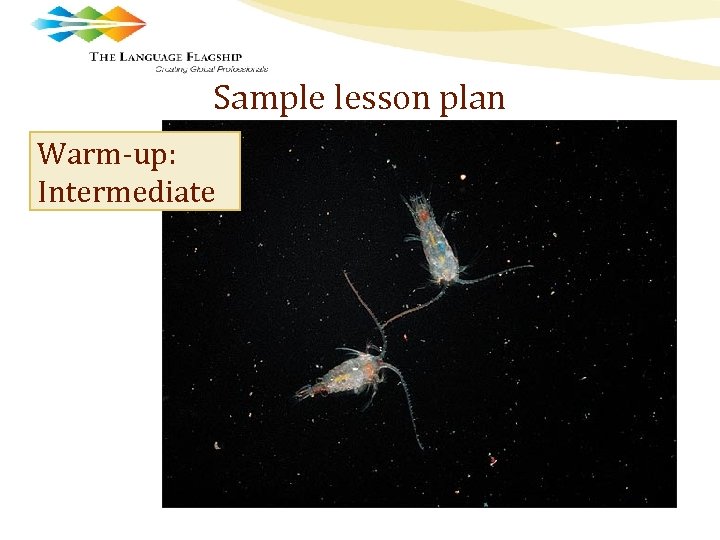 Sample lesson plan Warm-up: Intermediate 