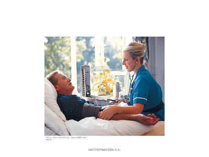 МИТРОРФАНОВА Н. А. 