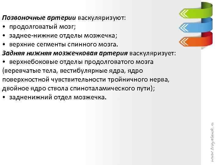 Позвоночные артерии васкуляризуют: • продолговатый мозг; • заднее-нижние отделы мозжечка; • верхние сегменты спинного