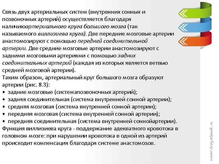 Связь двух артериальных систем (внутренних сонных и позвоночных артерий) осуществляется благодаря наличиюартериального круга большого