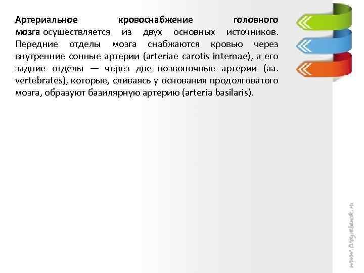 Артериальное кровоснабжение головного мозга осуществляется из двух основных источников. Передние отделы мозга снабжаются кровью