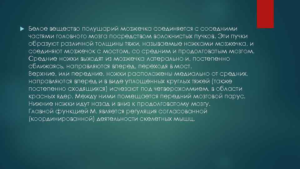  Белое вещество полушарий мозжечка соединяется с соседними частями головного мозга посредством волокнистых пучков.