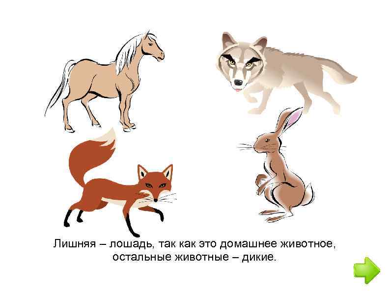 Лишняя – лошадь, так как это домашнее животное, остальные животные – дикие. 