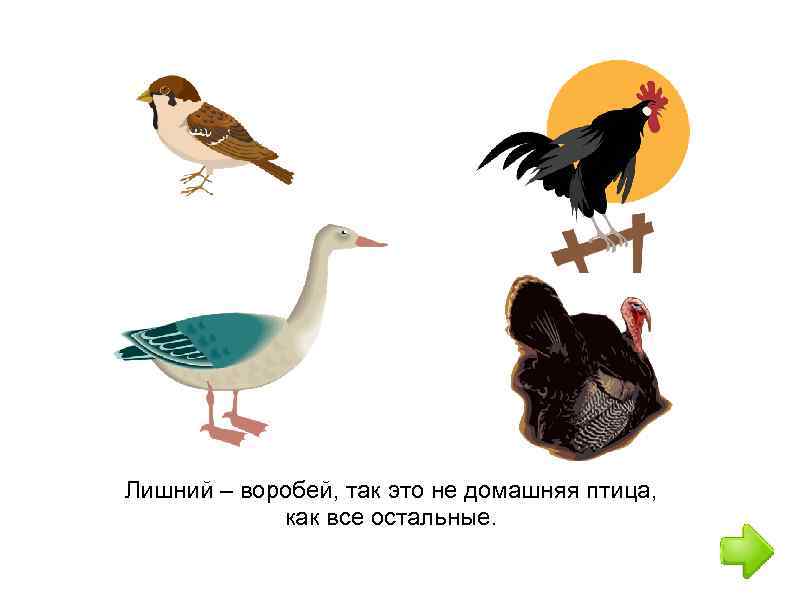 Лишний – воробей, так это не домашняя птица, как все остальные. 