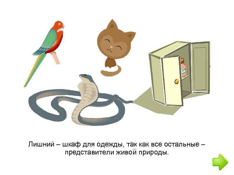 Лишний – шкаф для одежды, так как все остальные – представители живой природы. 