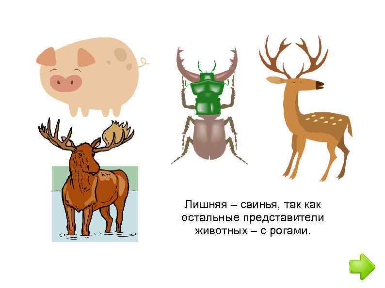 Лишняя – свинья, так как остальные представители животных – с рогами. 