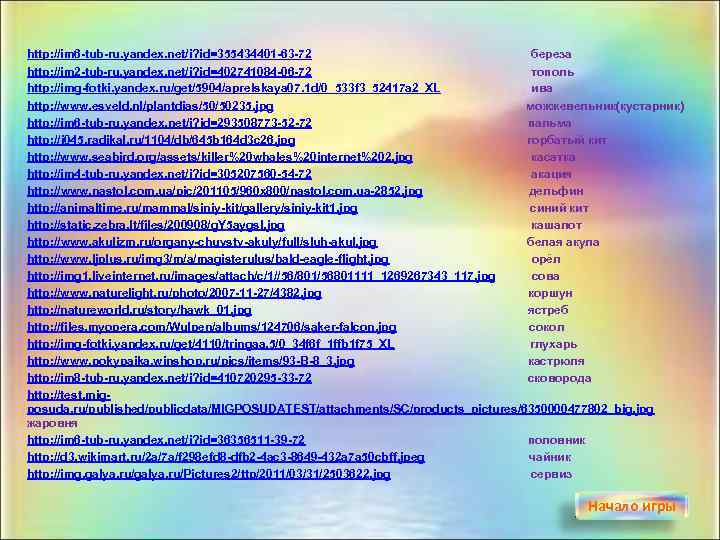 http: //im 6 -tub-ru. yandex. net/i? id=355434401 -63 -72 береза http: //im 2 -tub-ru.
