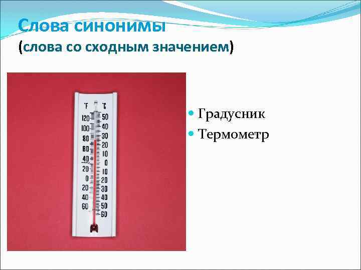 Слова синонимы (слова со сходным значением) Градусник Термометр 