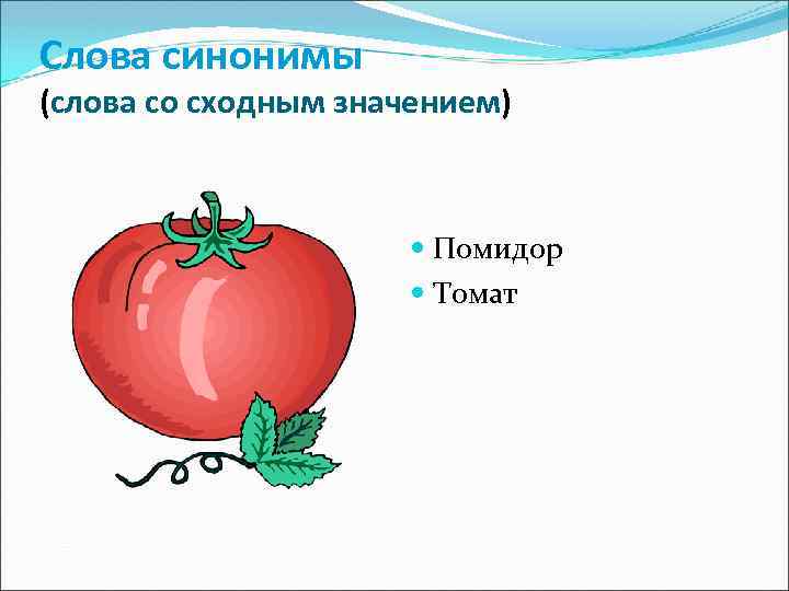 Слова синонимы (слова со сходным значением) Помидор Томат 
