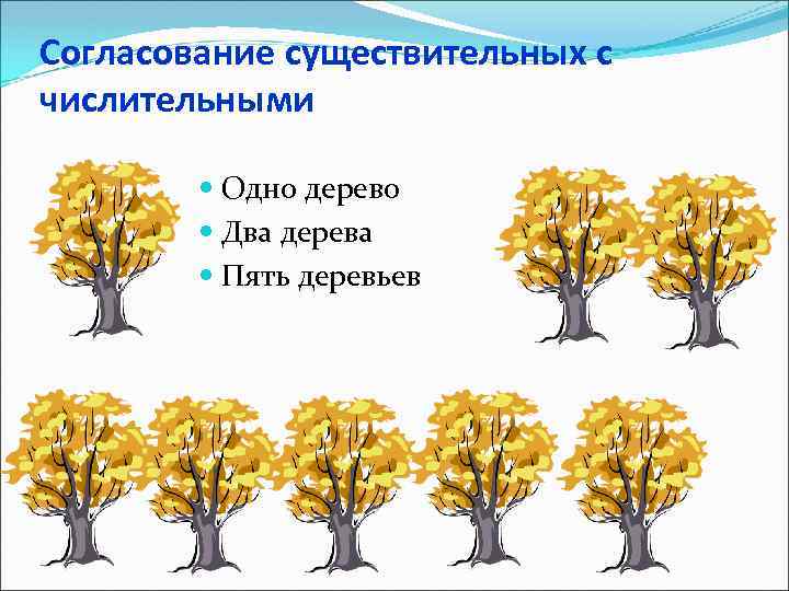 Согласование существительных с числительными Одно дерево Два дерева Пять деревьев 