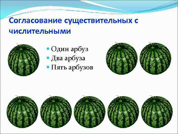 Согласование существительных с числительными Один арбуз Два арбуза Пять арбузов 