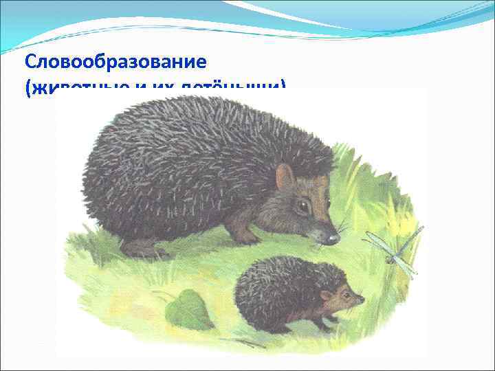 Словообразование (животные и их детёныши) 