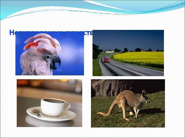 Несклоняемые существительные 