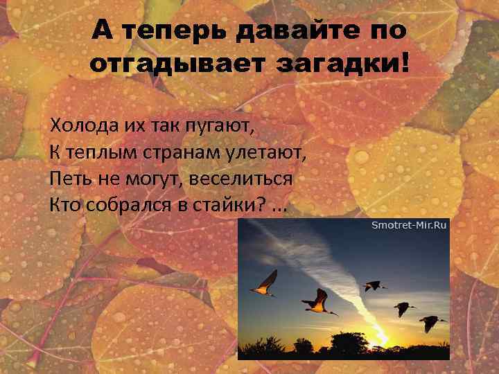А теперь давайте по отгадывает загадки! Холода их так пугают, К теплым странам улетают,