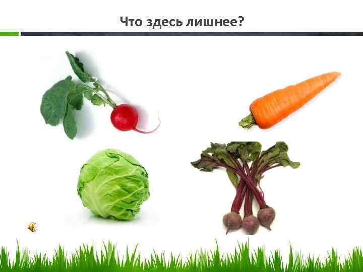 Что здесь лишнее? 