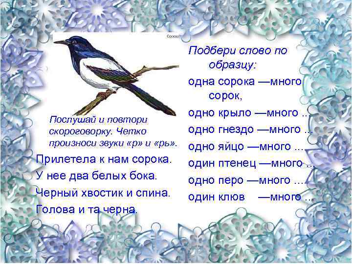 Подбери слово по образцу: одна сорока —много сорок, одно крыло —много. . . Послушай