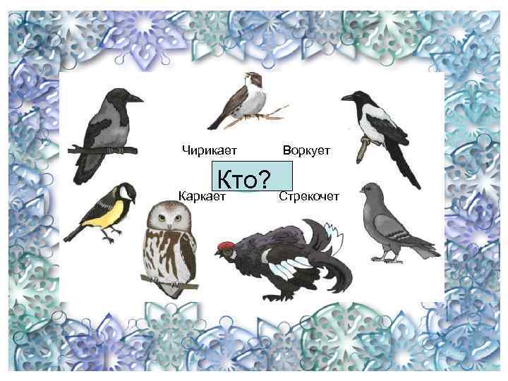 Чирикает Воркует Кто? Стрекочет Каркает 