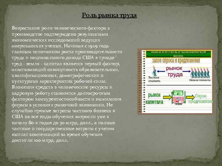 Роль рынка труда Возрастание роли человеческого фактора в производстве подтверждено результатами экономических исследований ведущих