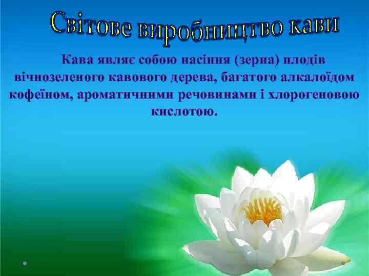 Кава являє собою насіння (зерна) плодів вічнозеленого кавового дерева, багатого алкалоїдом кофеїном, ароматичними речовинами