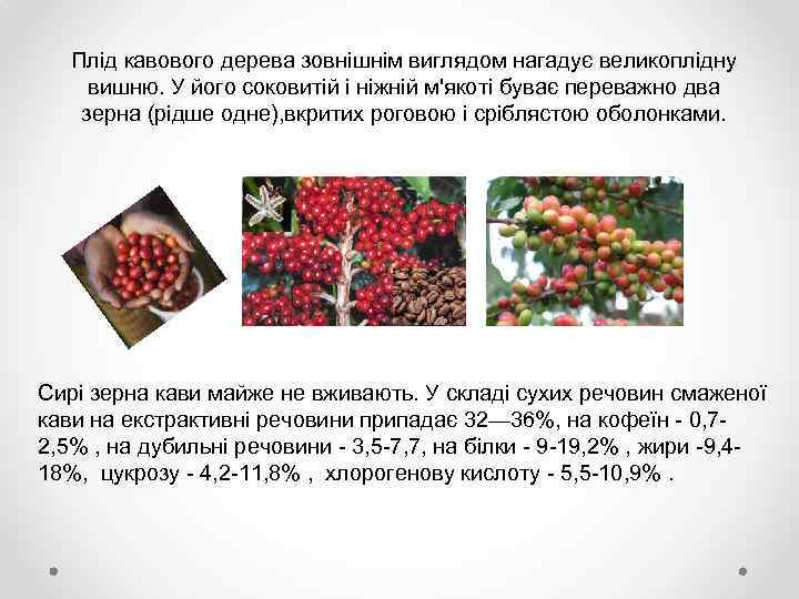 Плід кавового дерева зовнішнім виглядом нагадує великоплідну вишню. У його соковитій і ніжній м'якоті